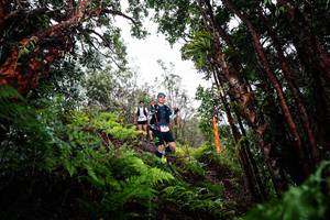 BIB: 
                            <button type="button" onclick="openModal(26202561)" class="btn btn-primary btn-sm float-right btn-popup" data-toggle="modal" data-target=".modal-high-quality">
                        <i class="fas fa-shopping-cart"></i> Add to Cart
                    </button>
                                            <button type="button" onclick="isThisMe(26202561, true)" class="btn btn-success btn-sm float-right btn-popup btn-isme hidden" data-toggle="tooltip" data-placement="bottom" title="นี่คือรูปของคุณใช่ไหม คลิกที่นี่เพื่อเอาเข้าอัลบั้ม">
                        <i class="fas fa-plus"></i> Add to album
                    </button>
                    <button type="button" onclick="isThisMe(26202561, false)" class="btn btn-warning btn-sm float-right btn-popup btn-isnotme hidden">
                        <i class="fas fa-ban"></i> Remove from album
                    </button>